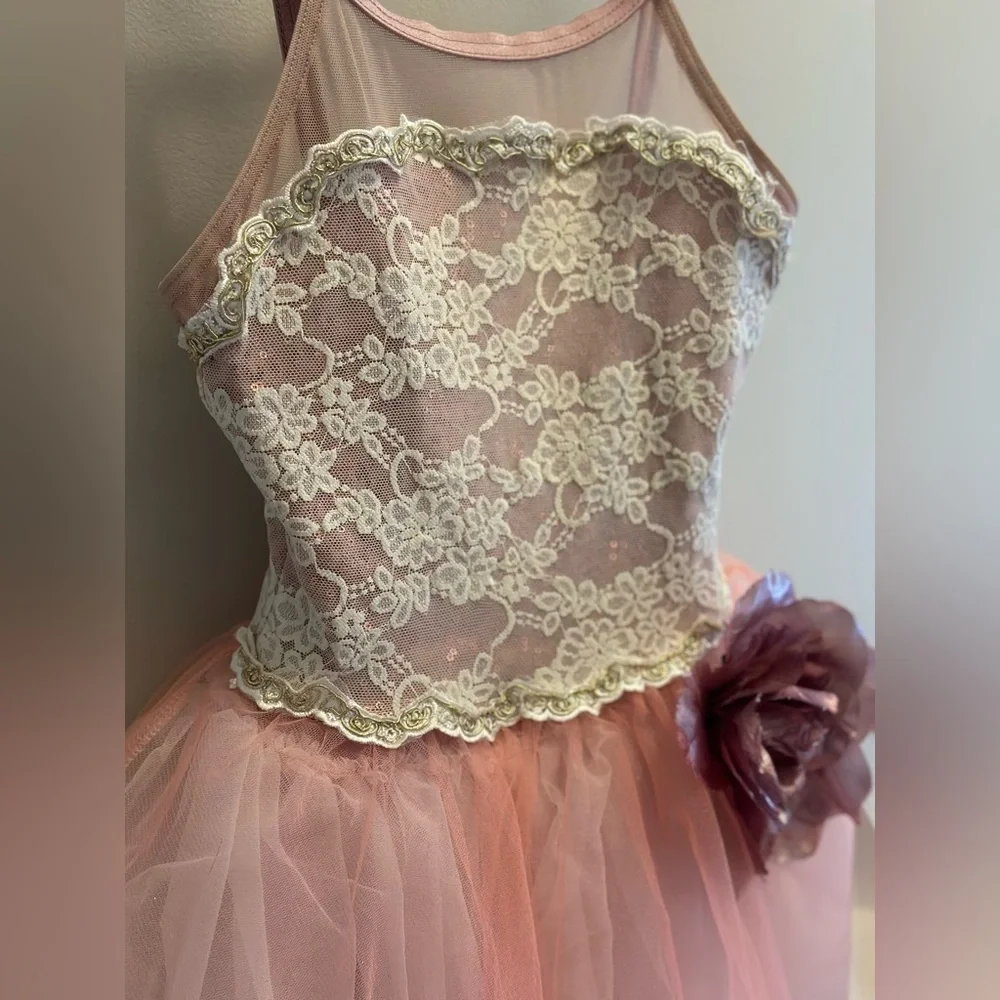 Weissmans Gorgeous Ballet Costume dress